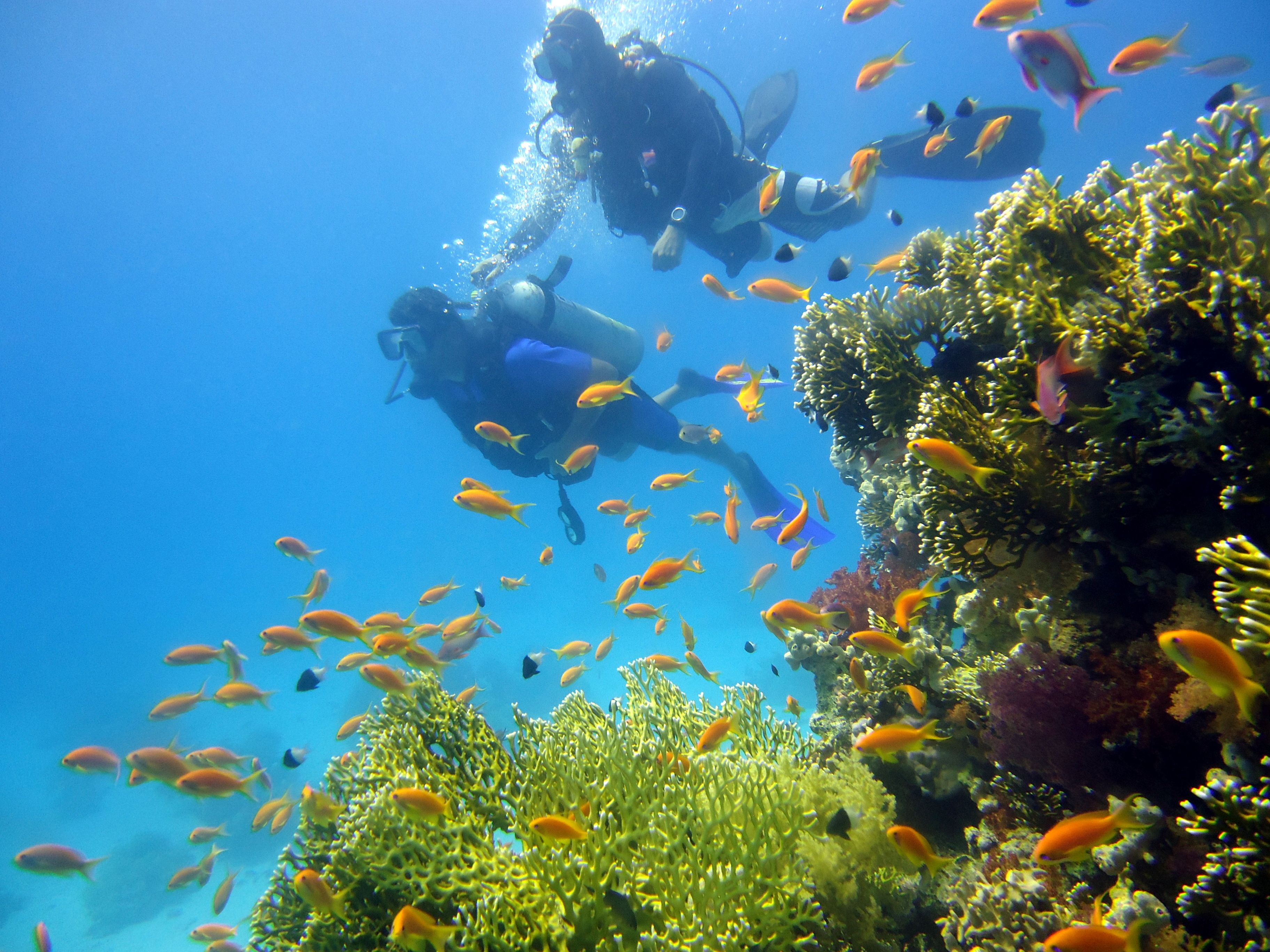 Buceo Sharm el Sheik