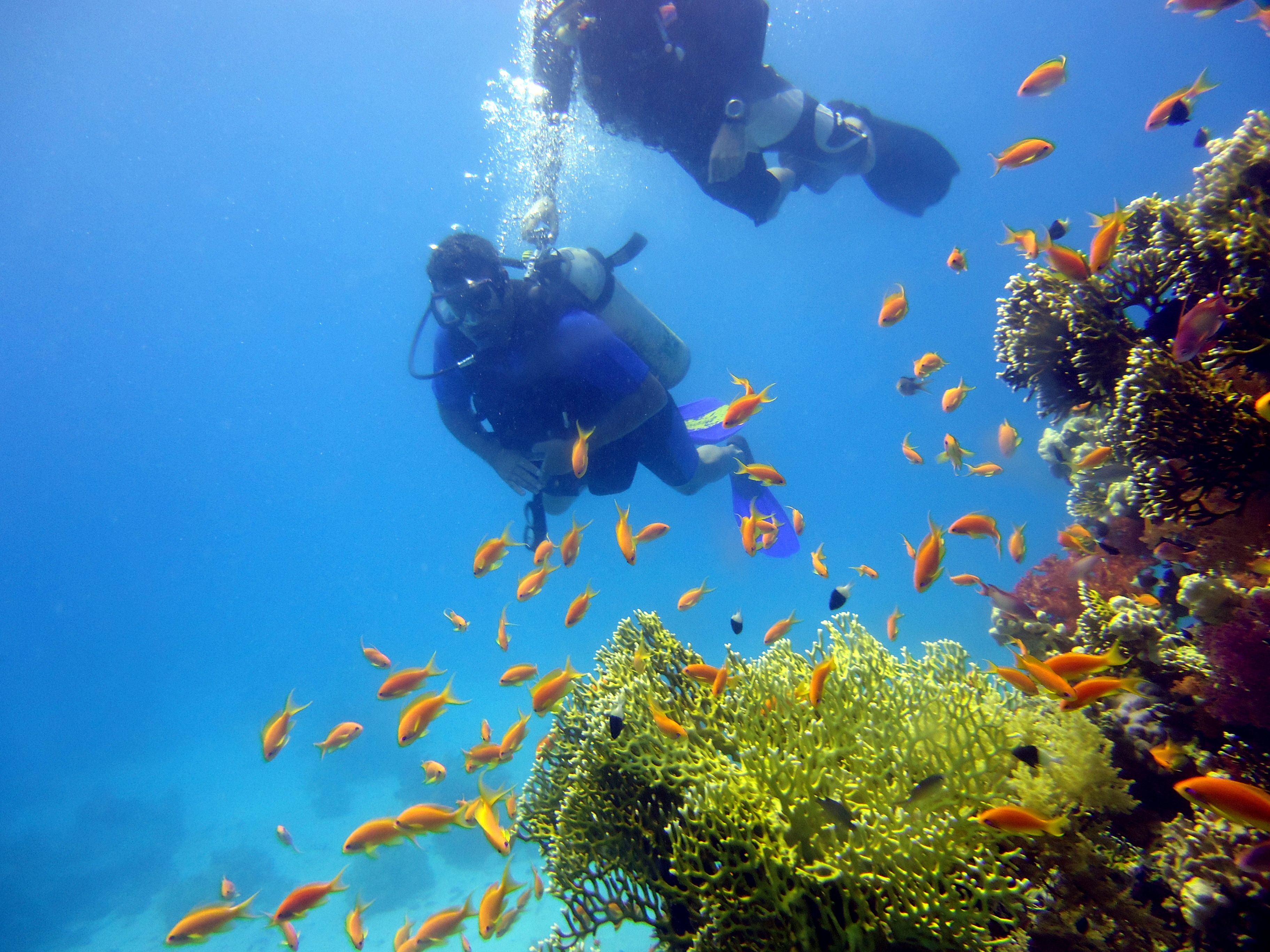Buceo Sharm el Sheik