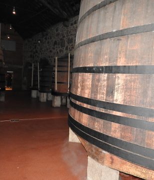 Bodega Cálem