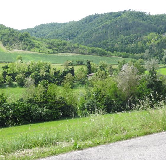 Región de Emilia Romaña